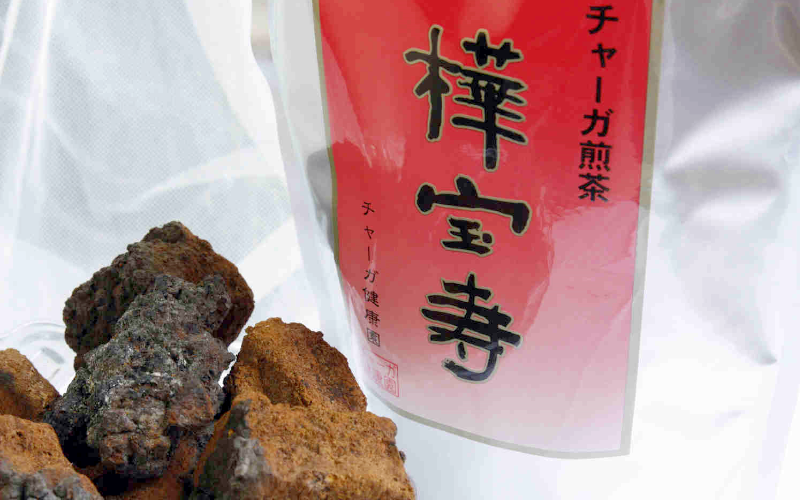 チャーガ茶ブロック